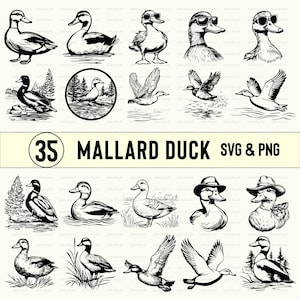 Mallard Duck Svg Png, Mallard Duck Clipart, Mallard Duck Silhouette, Mallard Duck Vector Art, Mallard Duck Cut File, Cricut, Duck Decal File