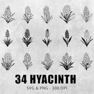 Hyacinth SVG PNG Bundle: Floral Silhouette Clipart (Digital Download)