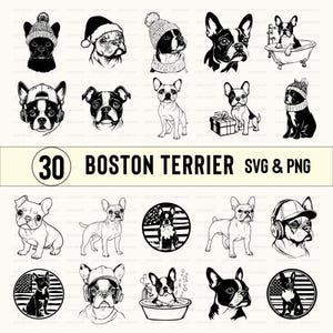 Boston Terrier Svg Bundle, Boston Terrier Silhouette, Boston Terrier Clipart, Boston Terrier Decal, Boston Terrier Decal Icon Logo Cut Files