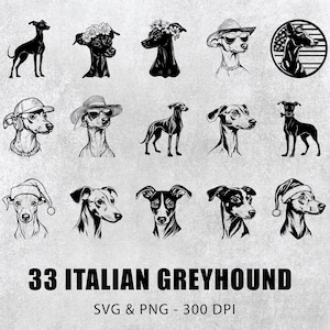 Italian Greyhound Svg Bundle, Italian Greyhound Silhouette Set, Italian Greyhound Clipart, Italian Greyhound Decal, Greyhound Logo Icon Set