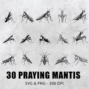 Praying Mantis Svg Png, Praying Mantis Clipart, Praying Mantis Silhouette, Mantis Decal, Mantis Vector, Outline Cut File Circuit Insect File