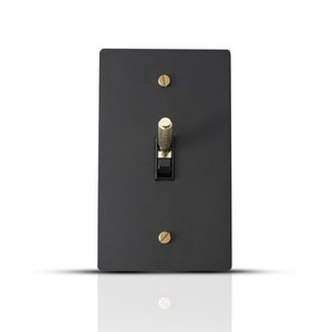 May include: A black light switch with a brass toggle and two brass screws. The switch is mounted on a white wall.