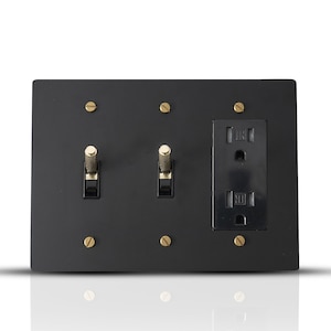 May include: A black electrical outlet cover with two toggle switches and a single outlet. The cover has six brass screws.