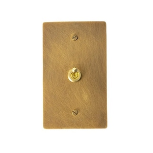May include: A brass light switch with a single toggle. The switch is in the off position.
