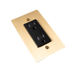 May include: A gold-colored electrical outlet cover with a black electrical outlet.