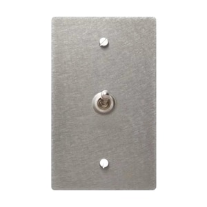 May include: A rectangular light switch wall plate with a brushed silver metal finish. The plate features a single central toggle switch and two matching silver screws positioned at the top and bottom for secure mounting to an electrical box.