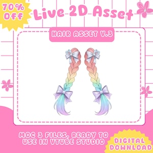 Bunte geflochtene Zurück Haare Vtuber Aktivum | Vorgefertigtes Objekt