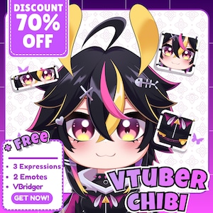 Custom Chibi Vtuber Live2D Model: Unique Design Commission