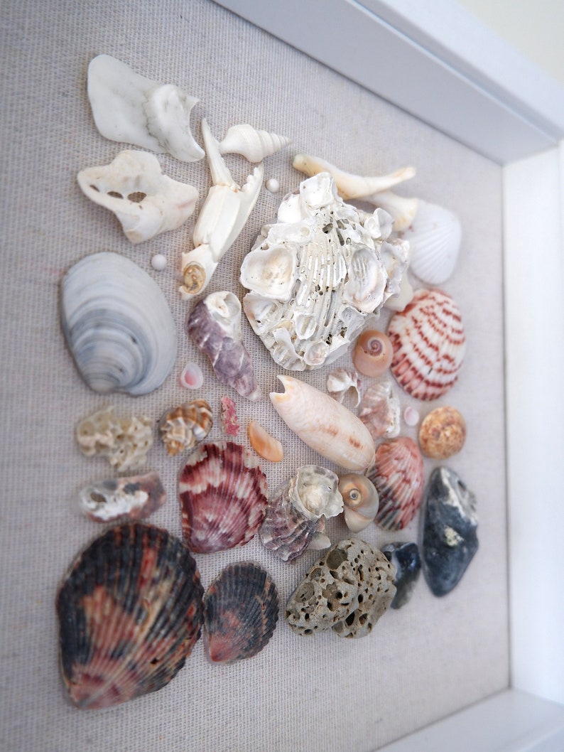 Color Gradient Shell Mosaic Shadow Box Art With Glass Enclosure ...