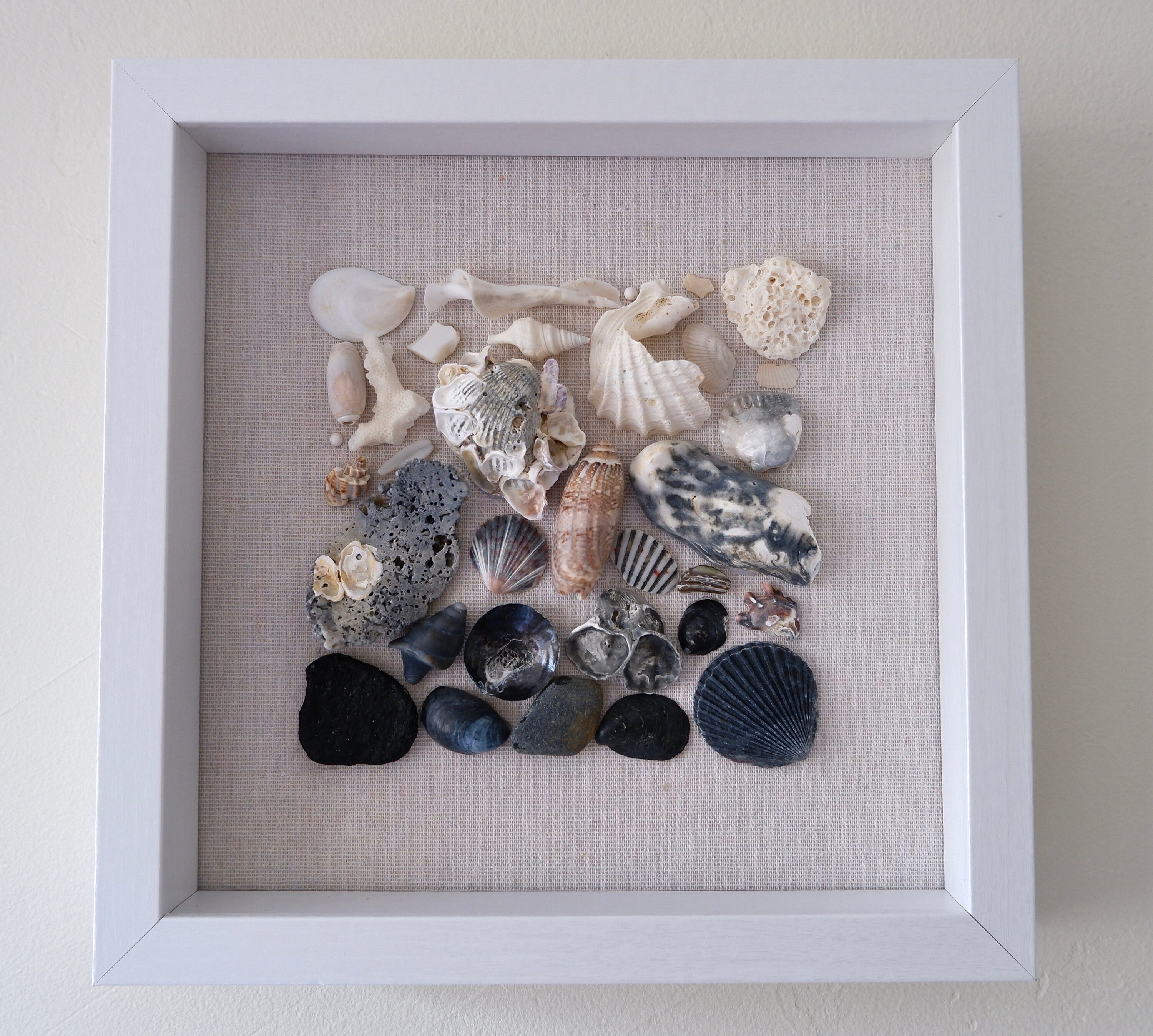 Color Gradient Shell Mosaic Shadow Box Art With Glass Enclosure ...