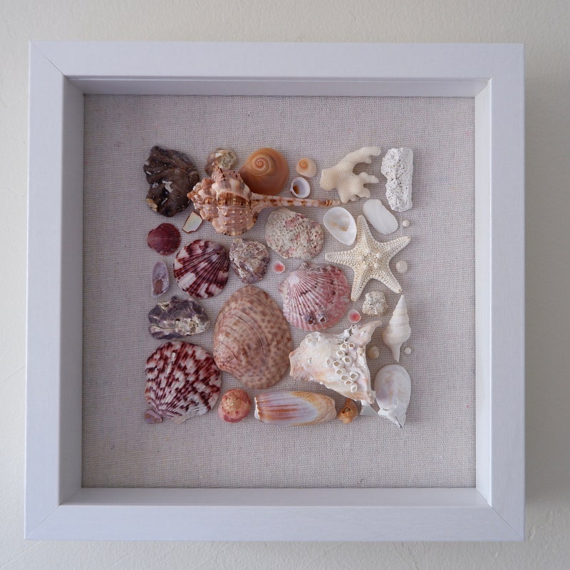 Shell Art Shadow Box - Etsy
