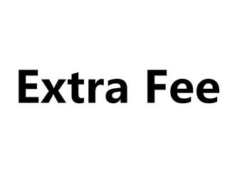 Extra Fee