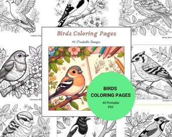 Birds Coloring Pages, Birds Coloring Book, Children Coloring Book, Children Coloring Pages, Printable Sheet, PDF, Instant Download
