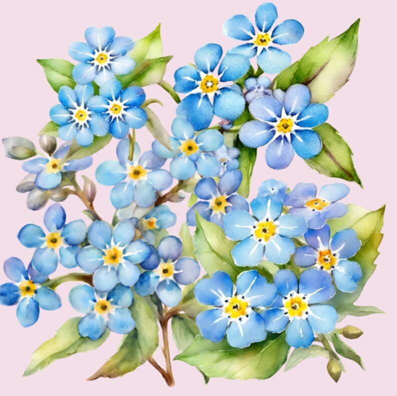 May include: A watercolor painting of a bouquet of blue forget-me-not flowers with green leaves on a light pink background.