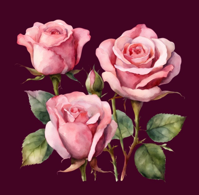 20 Pink Roses Clipart, High Quality, PNG, SVG, Transparent Background ...