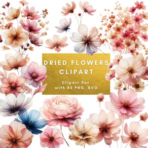 Fleurs séchées Boho fleurs pressées herbier Clipart floral de haute qualité 85 Images PNG SVG fond transparent en téléchargement numérique