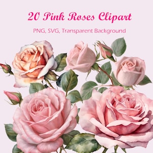 20 Pink Roses Clipart, High Quality, PNG, SVG, Transparent Background, Digital Download