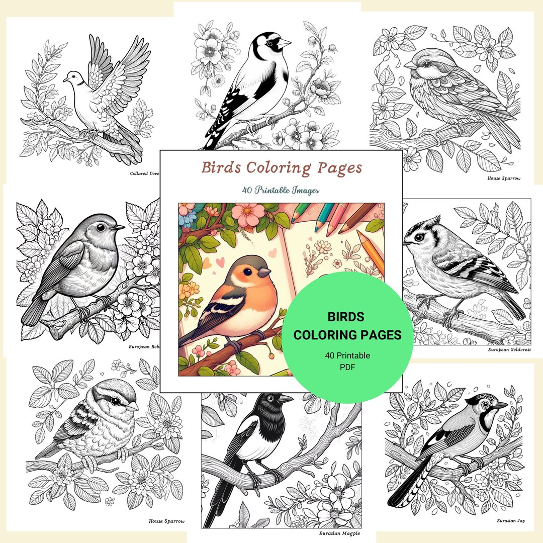 Birds Coloring Pages, Birds Coloring Book, Children Coloring Book, Children Coloring Pages ...