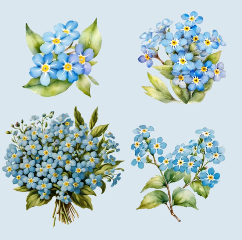 May include: Four watercolor illustrations of forget-me-not flowers with blue petals and yellow centers. The flowers are arranged in different bouquets and clusters.