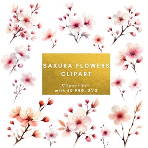 桜の花のクリップアート 60 PNG SVG 画像 高品質の花のクリップアート 桜のクリップアート 透明な背景 デジタルダウンロード