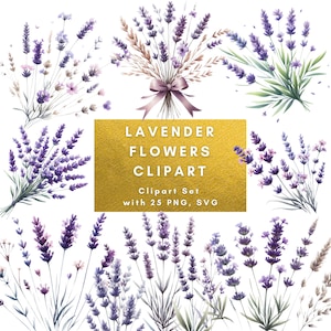 Lavender Flowers Clipart, 25 PNG SVG Images, Floral Lavender Clipart, Purple Flowers Clipart Set, Transparent Background, Digital Download