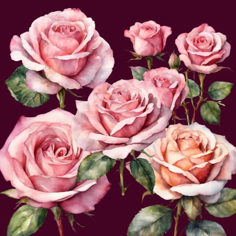 20 Pink Roses Clipart, High Quality, PNG, SVG, Transparent Background ...