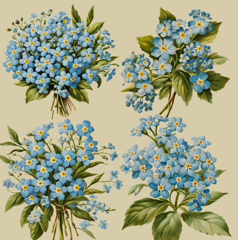 May include: Four bouquets of forget-me-not flowers with blue blossoms and green leaves. The flowers are arranged in a symmetrical pattern on a light beige background.