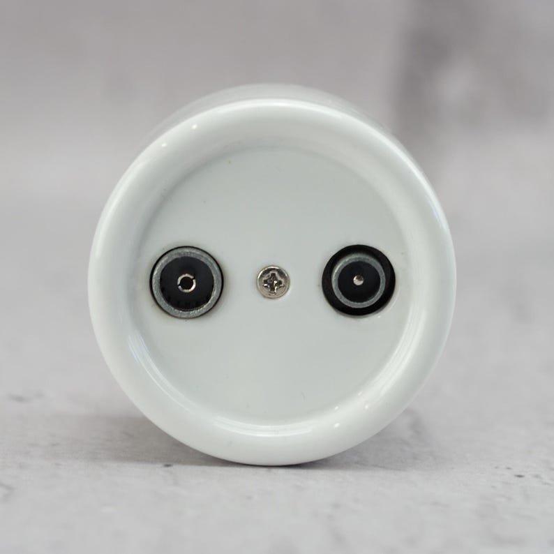 May include: A circular white plastic component featuring two recessed black circular ports positioned side by side. A small silver-colored Phillips head screw is located directly in the center between the two ports on the flat surface.