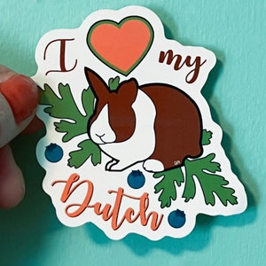 Me encanta mi pegatina de vinilo Dutch Rabbit, regalo, brillante