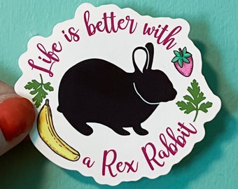 Life is Better with a Rex Rabbit vinyl sticker, gift