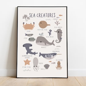 Set of 5 Animal Posters + BONUS BOOKS