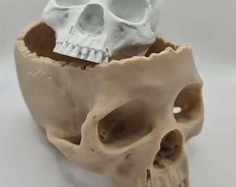 Skull Bowl in PLA - Perfect for Halloween (Available in Two Sizes)