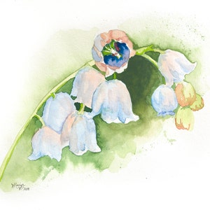 Lily of the Valley