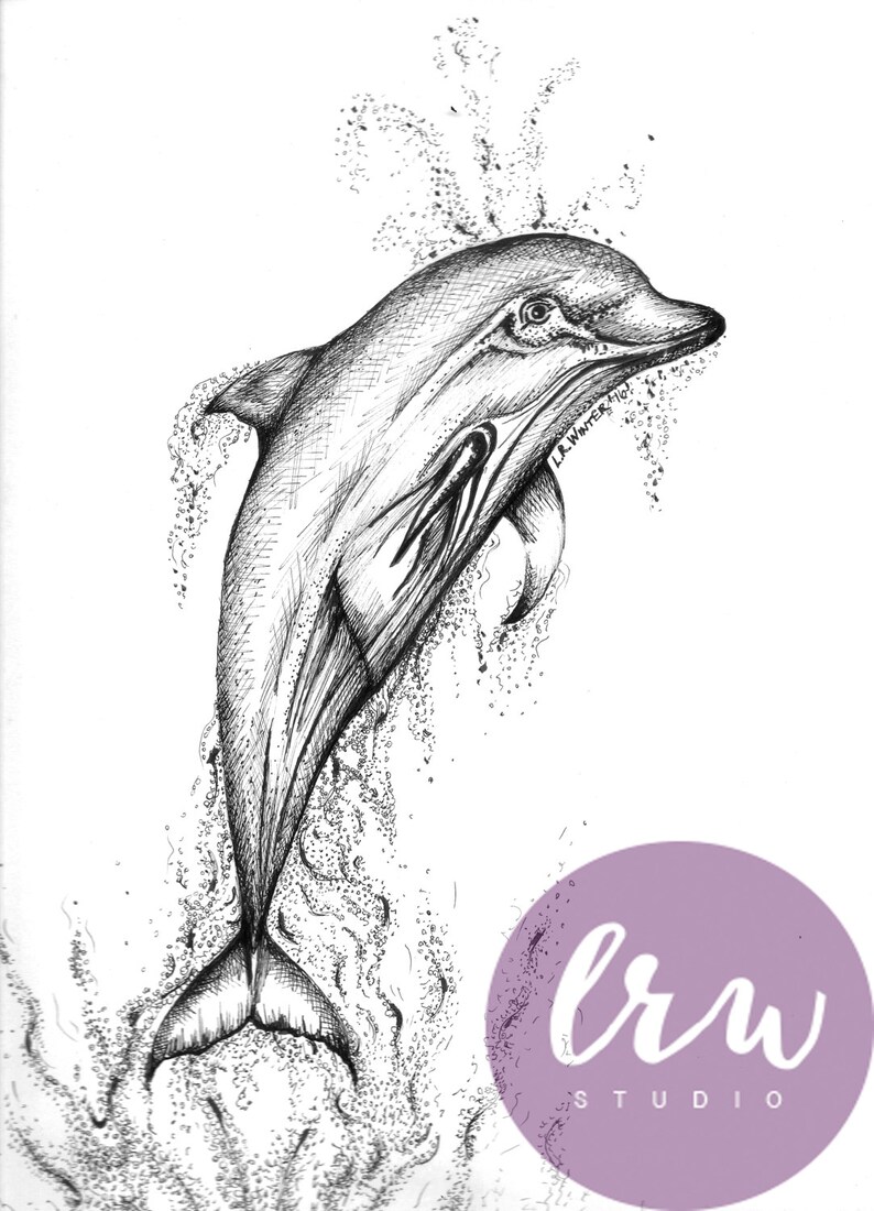 Dolphin Art Print Black and White Pen and Ink Drawing Sea 