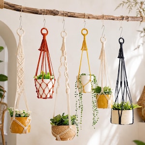 May include: Six macrame plant hangers in cream, rust, mustard, and black, suspended from a horizontal wooden branch. Each hanger features intricate knotted patterns and holds a ceramic pot containing various green plants and trailing vines.