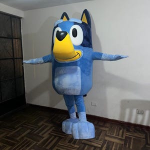 Custom Costume and Head - Custom Mascot Head and full mascot + message to order