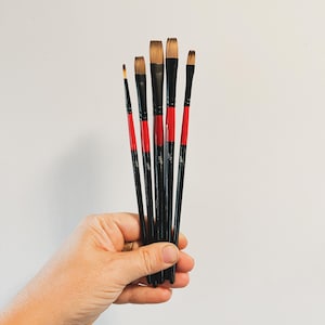 May include: A set of six paint brushes with black handles and red ferrules. The brushes have different sizes and are arranged in a hand.