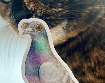 May include: A sticker of a pigeon with iridescent feathers, held in front of a tortoiseshell cat. The pigeon has a glittery effect and is detailed with shades of purple, blue, and grey. The cat's eyes are green.