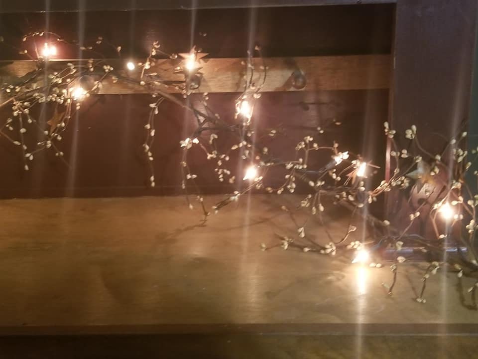 Lighted Pip Berry Star Garland Etsy