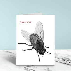 You're so Fly Funny Card
