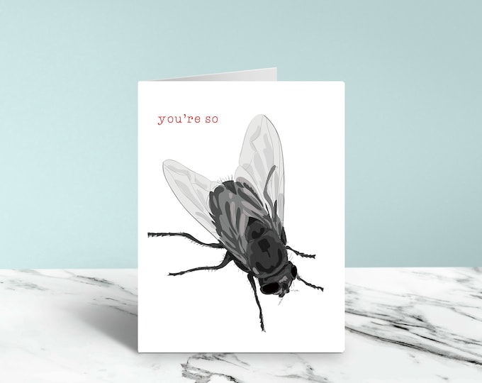 You're so Fly Funny Card