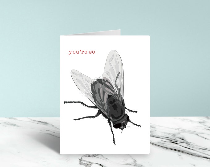 You're so Fly Funny Card