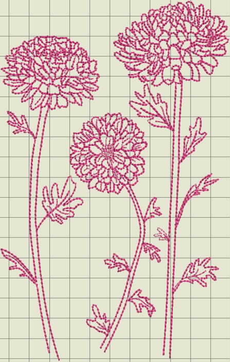 Zinnias Floral Outline Machine Embroidery Designs Etsy