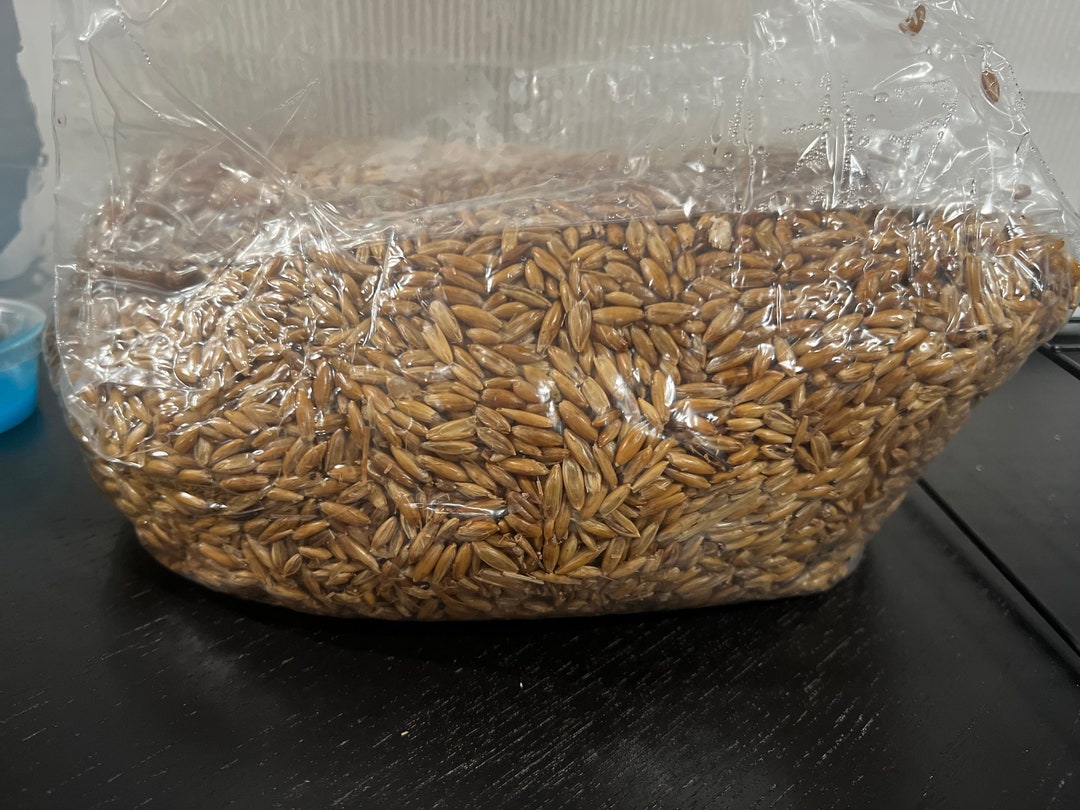 3lb Grain Spawn Bag W/injection Port and Alcohol Wipe - Etsy