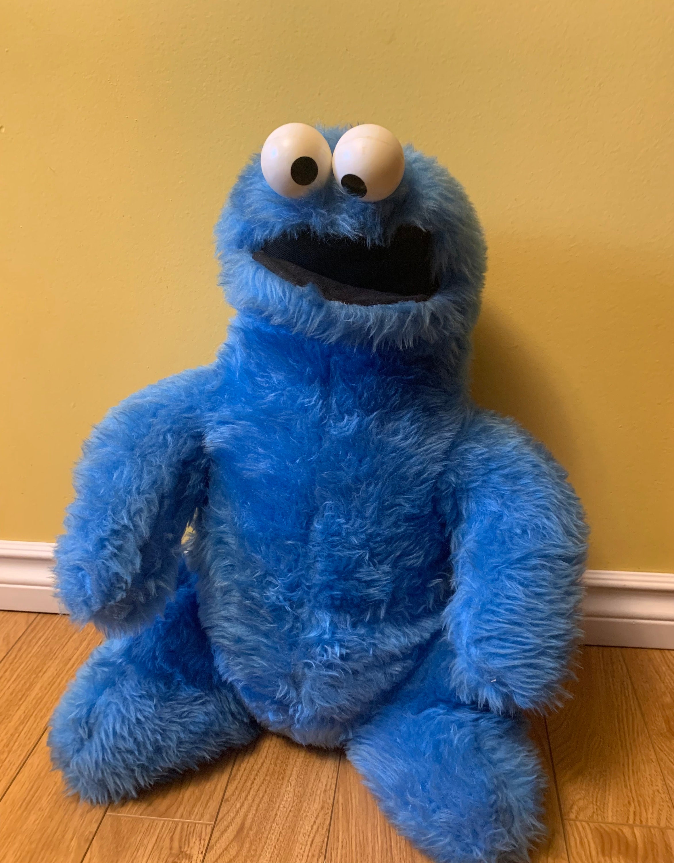 cookie monster toy