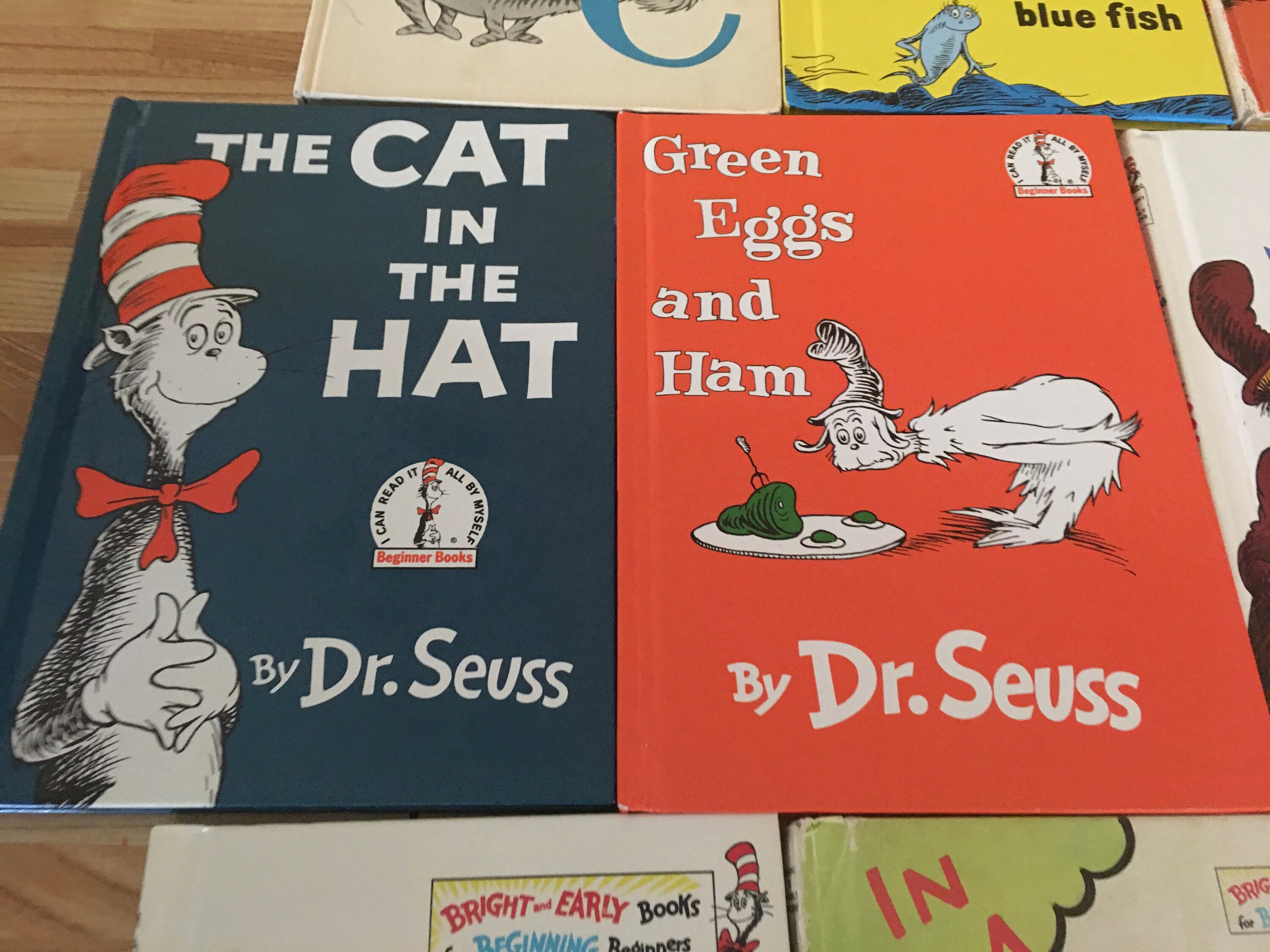 10 Dr. Seuss Book Collection #2 - Etsy