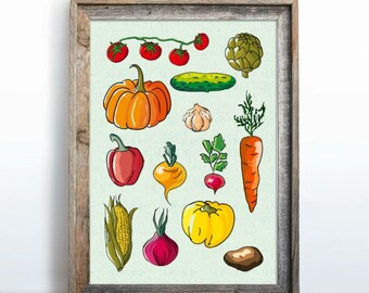 Könnte beinhalten: Eine bunte Illustration verschiedener Gemüse und Früchte, darunter ein Kürbis, Tomaten, eine Gurke, Knoblauch, eine Karotte, eine rote Zwiebel, eine gelbe Paprika, eine rote Paprika, ein Radieschen, ein Maiskolben und eine Artischocke. Die Illustration befindet sich auf einem hellblauen Hintergrund mit dem Text "INK AND OCEAN STUDIOS" am unteren Rand.