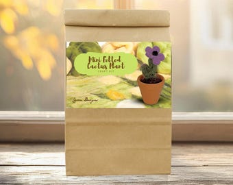 Mini Felted Cactus Plant Craft Kit – DIY Wool Succulent with Flower in Pot