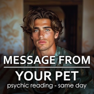 Dezelfde dag bericht van je huisdier Paranormale lezing: gedetailleerd nauwkeurig helderziend medium Lorenzo, helderziende waarzeggerij Hond Kat Pet Reading Spirit