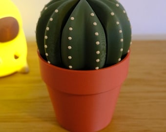 3D Printed Cactus Coaster | Modern Desk Decor, Plant Lover Gift